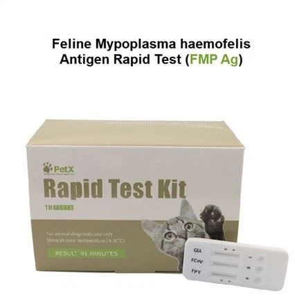 FMP Ag Testi