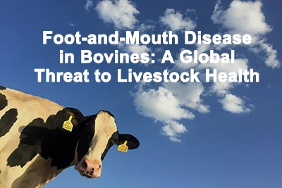 Büyükbaş Hayvanlarda Şap-ve-Ağız Hastalığı: Hayvan Sağlığına Yönelik Küresel ...